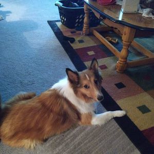 Meet your Posher, Paul